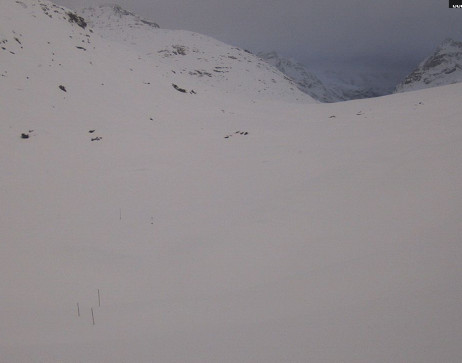 Heilbronner Hütte: Scheidsee